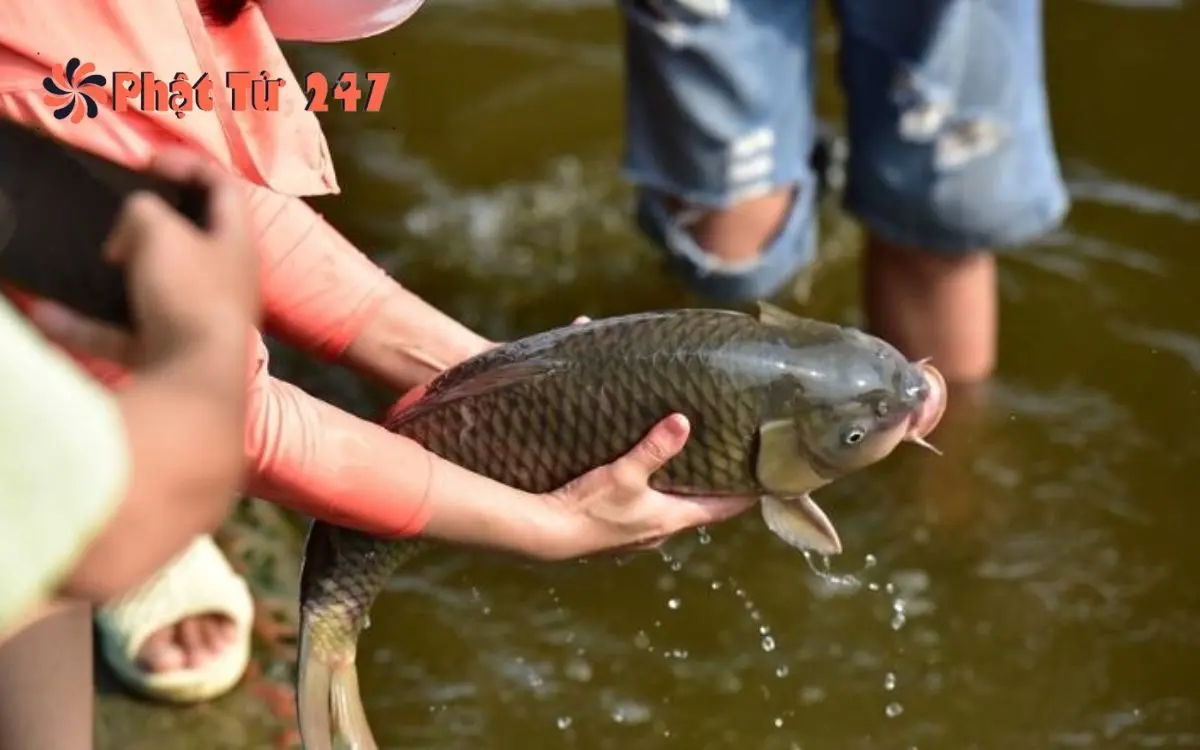 Nghi Thức Phóng Sinh